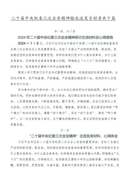 二十中央纪委三次全会精神的交流发言材料共十篇.docx