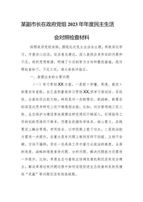 某副市长在政府党组2023年民主生活会对照检查材料.docx