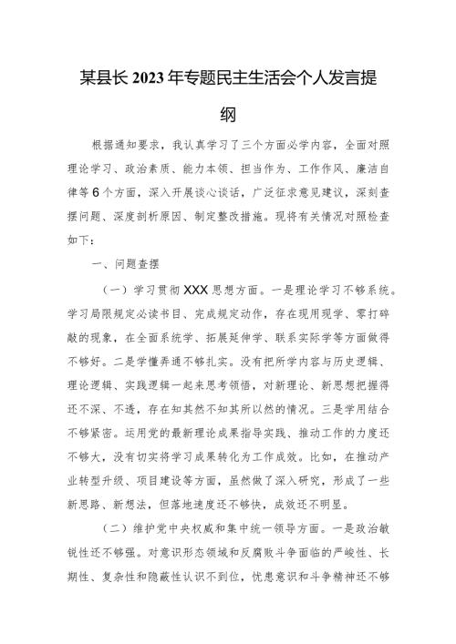 某县长2023年专题民主生活会个人发言提纲.docx