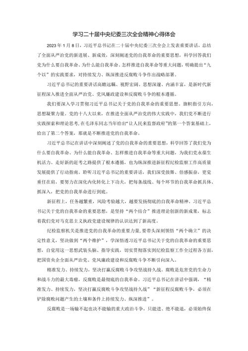 学习二十中央纪委三次全会精神心得体会.docx