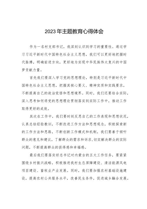 村支部书记2023年第二批主题教育的心得感悟八篇.docx