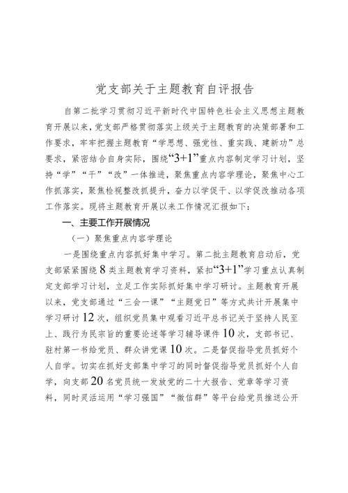 党支部关于20232024主题教育开展情况自评报告.docx