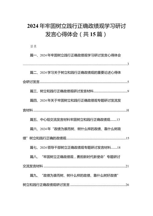 2024年牢固树立践行正确政绩观学习研讨发言心得体会（共15篇）(1).docx
