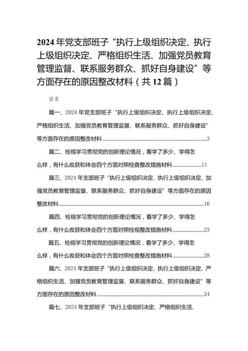 2024年党支部班子“执行上级组织决定、执行上级组织决定、严格组织生活、加强党员教育管理监督、联系服务群众、抓好自身建设”等方面存在(2).docx