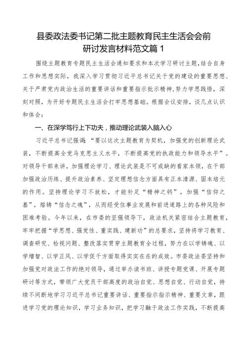 县委政法委书记第二批主题教育民主生活会会前研讨发言材料范文2篇.docx