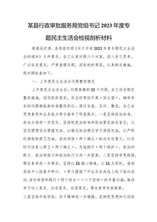 某县行政审批服务局党组书记2023专题民主生活会检视剖析材料.docx