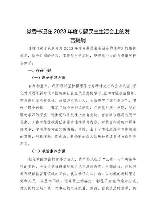 党委书记在2023专题民主生活会上的发言提纲.docx