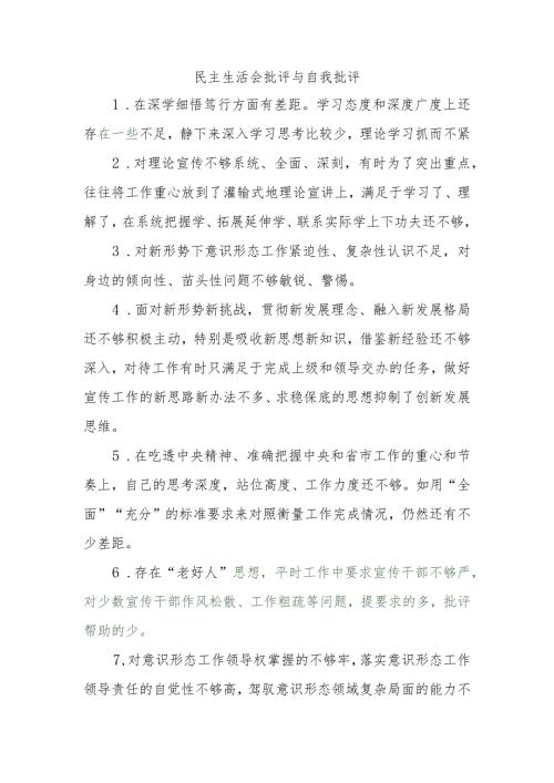 组织生活：2023民主生活会批评与自我批评.docx