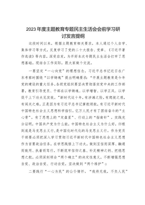 2023主题教育专题民主生活会会前学习研讨发言提纲（精选两篇合辑）.docx