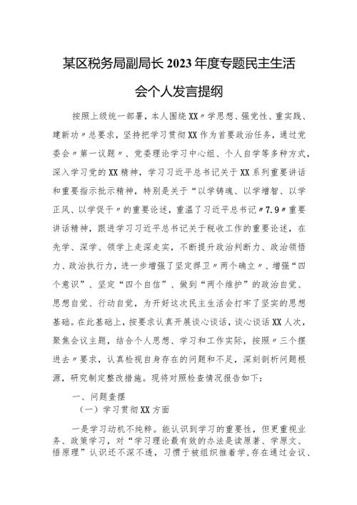 某区税务局副局长2023专题民主生活会个人发言提纲.docx