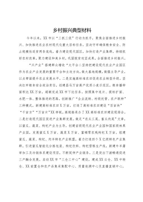 某市乡村振兴典型材料.docx
