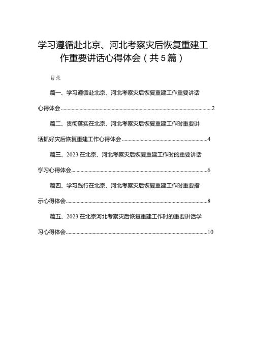 2024学习遵循赴北京、河北考察灾后恢复重建工作重要讲话心得体会（共5篇）.docx