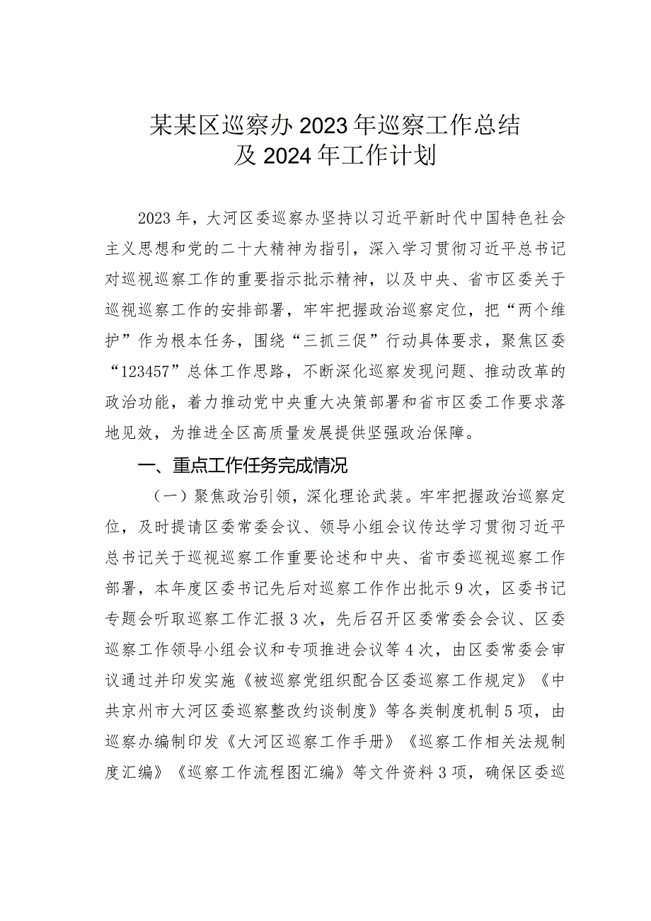 某某区巡察办2023年巡察工作总结及2024年工作计划(1).docx_第1页