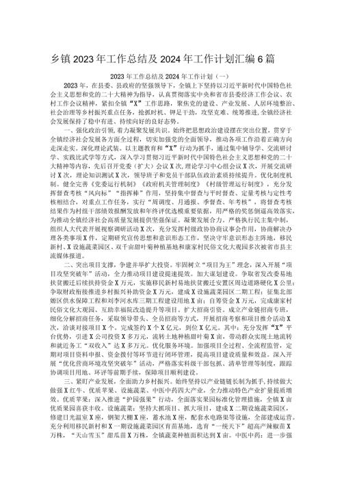 乡镇2023年工作总结及2024年工作计划汇编6篇.docx