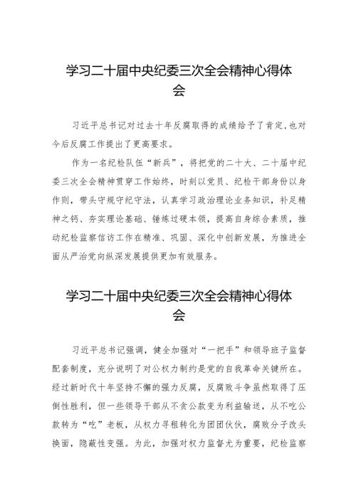 二十中央纪委三次全会精神学习心得体会十九篇.docx