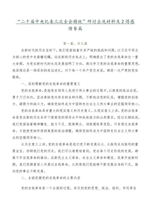 “二十中央纪委三次全会精神”研讨交流材料及心得感悟9篇.docx