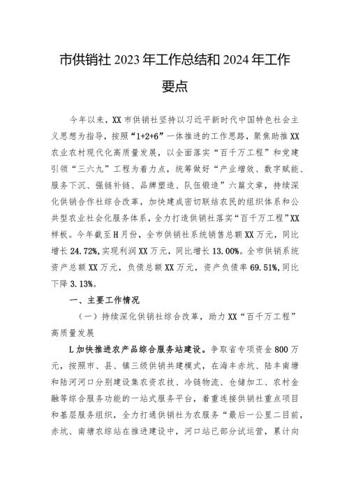 市供销社2023年工作总结和2024年工作要点.docx