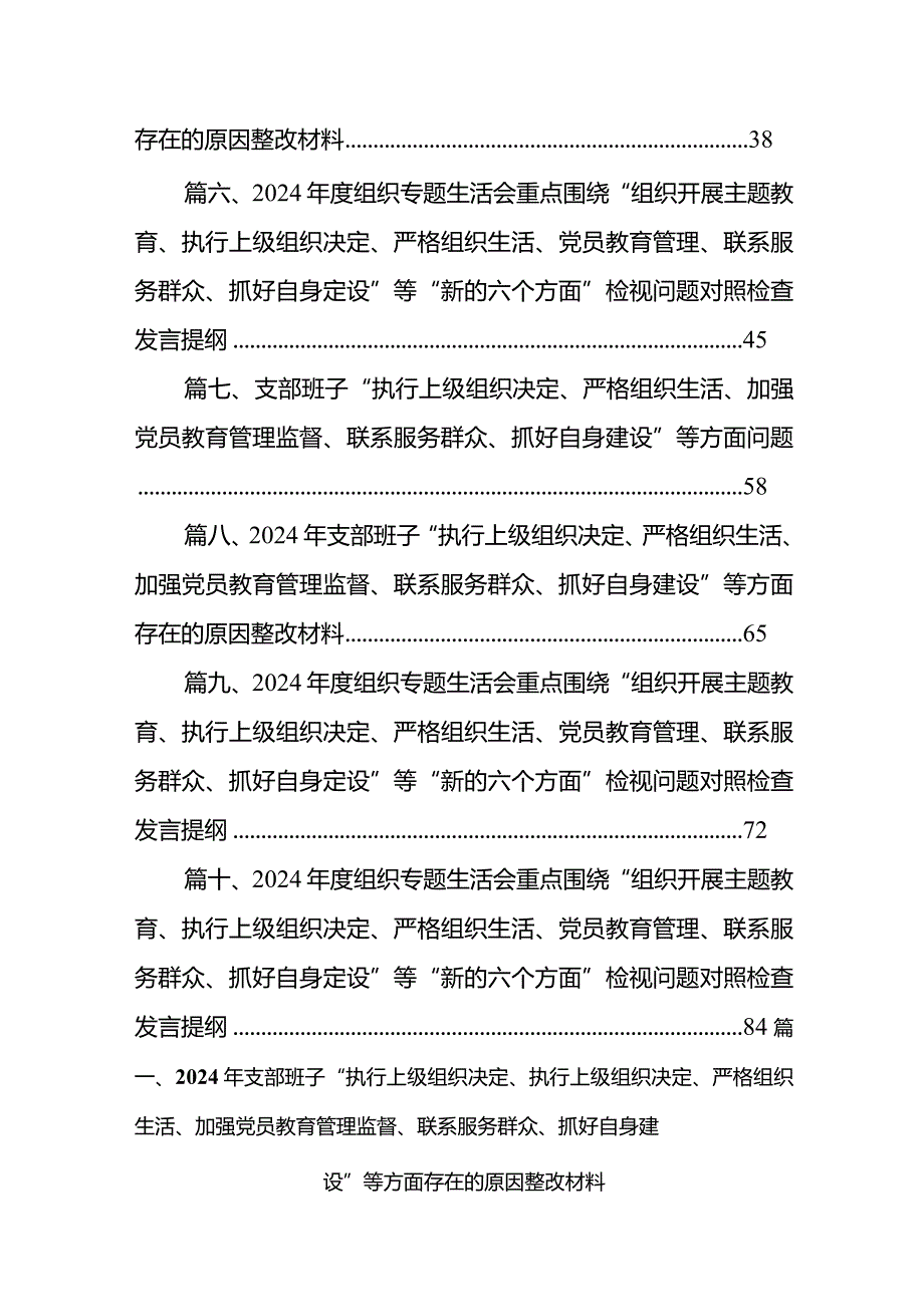 2024年支部班子“执行上级组织决定、执行上级组织决定、严格组织生活、加强党员教育管理监督、联系服务群众、抓好自身建设”等方面存在的(1).docx_第2页