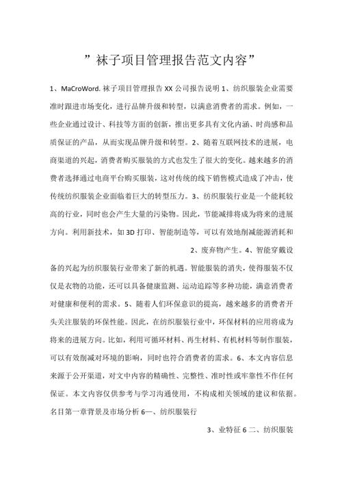 袜子项目管理报告范文内容.docx