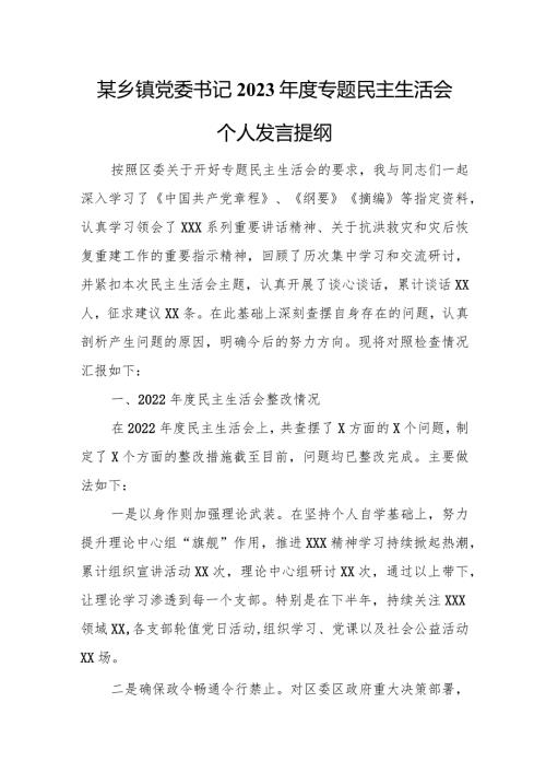 某乡镇党委书记2023专题民主生活会个人发言提纲.docx