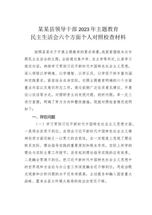 某某县领导干部2023年主题教育民主生活会六个方面个人对照检查材料(1).docx