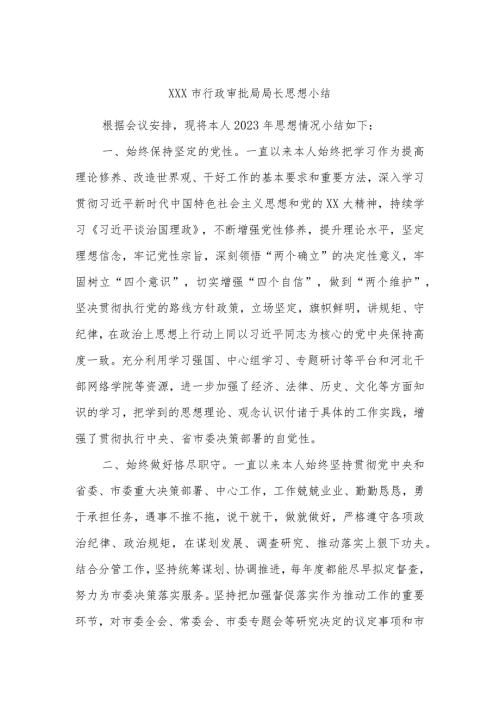 XXX市行政审批局局长思想小结.docx