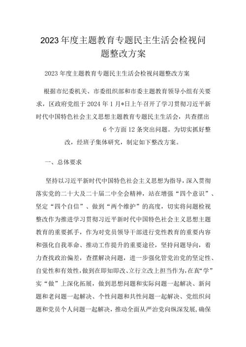 2023主题教育专题民主生活会检视问题整改方案(1).docx
