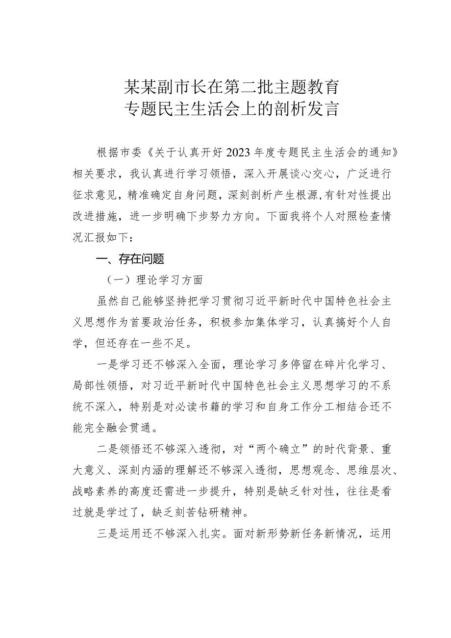 某某副市长在第二批主题教育专题民主生活会上的剖析发言(1).docx_第1页