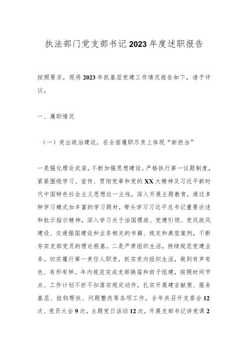 执法部门党支部书记2023述职报告.docx
