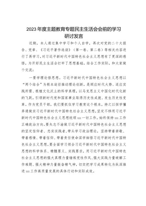 2023主题教育专题民主生活会会前学习研讨发言材料（精选两篇合辑）.docx