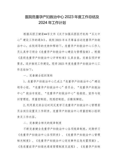 医院危重孕产妇救治中心2023工作总结及2024年工作计划.docx