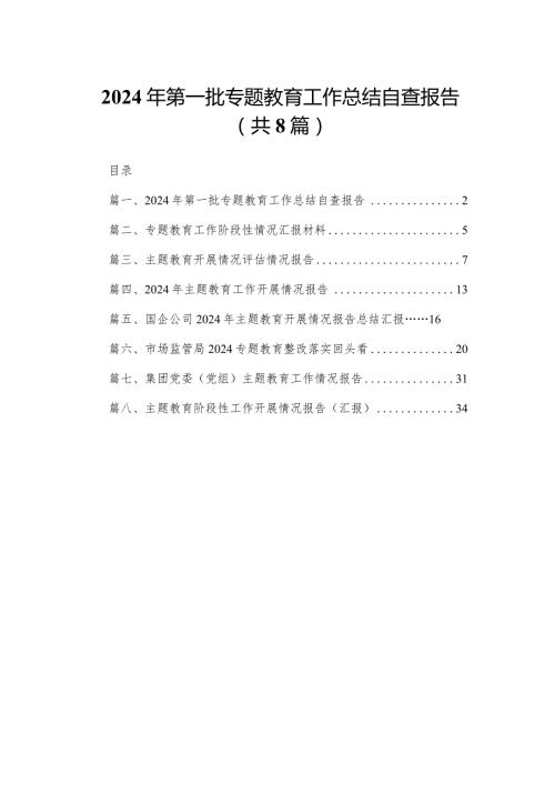 2024年第一批专题教育工作总结自查报告（共8篇）.docx