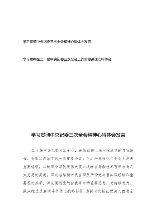 学习贯彻中央纪委三次全会精神心得体会发言、学习贯彻在二十中央纪委三次全会上的重要讲话心得体会.docx