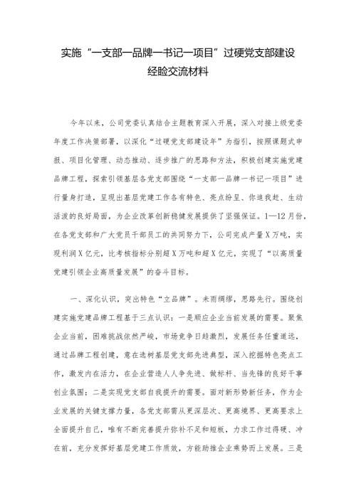 实施“一支部一品牌一书记一项目”过硬党支部建设经验交流材料(2).docx
