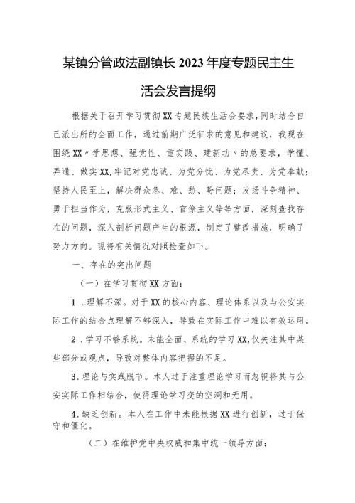 某镇分管政法副镇长2023专题民主生活会发言提纲.docx
