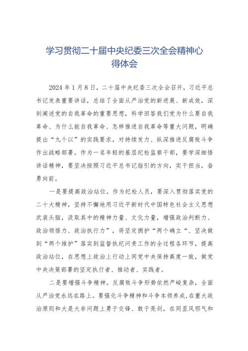 纪检人员学习贯彻二十中央纪委三次全会精神心得体会十九篇.docx