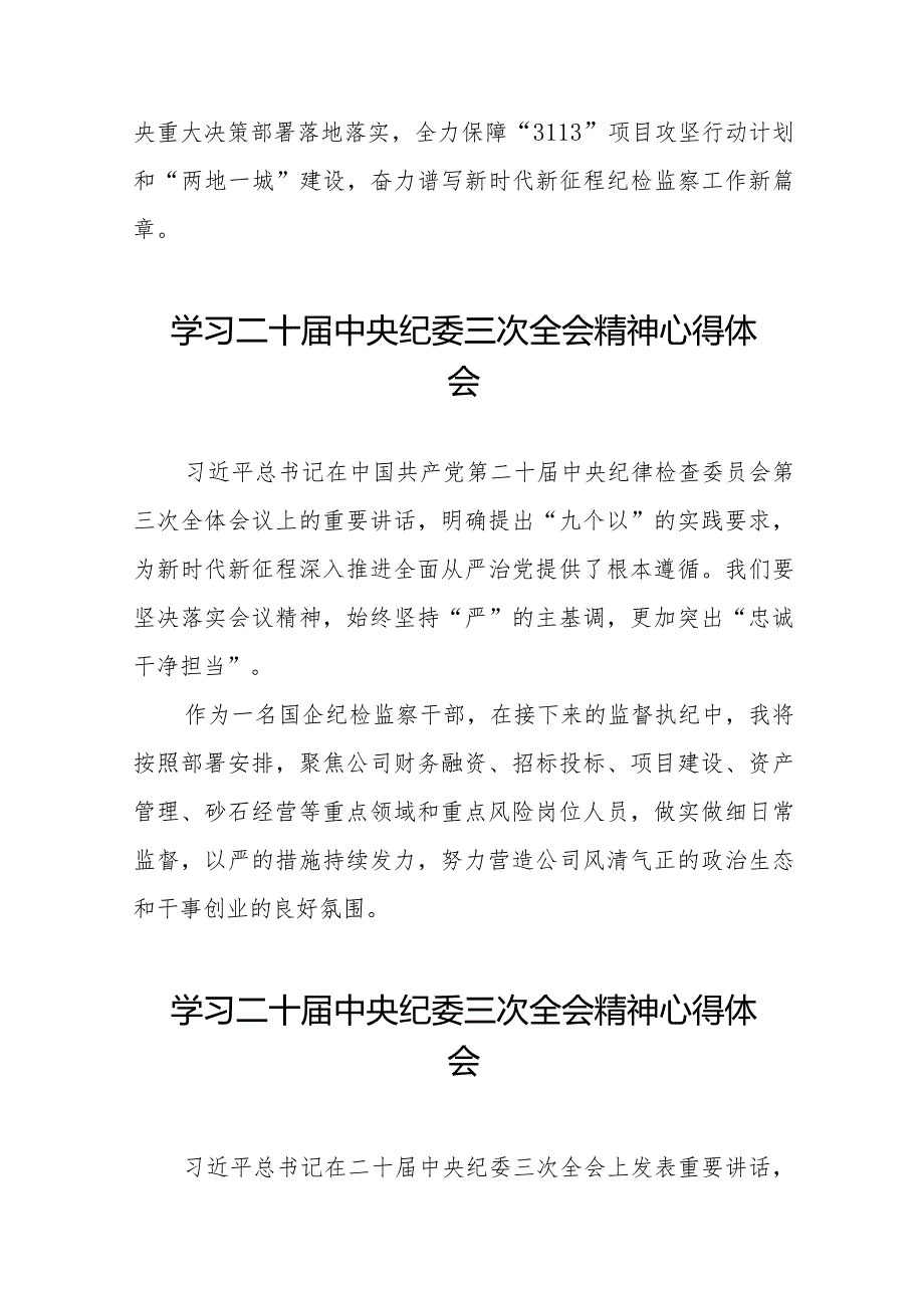 纪检人员学习贯彻二十中央纪委三次全会精神心得体会十九篇.docx_第3页