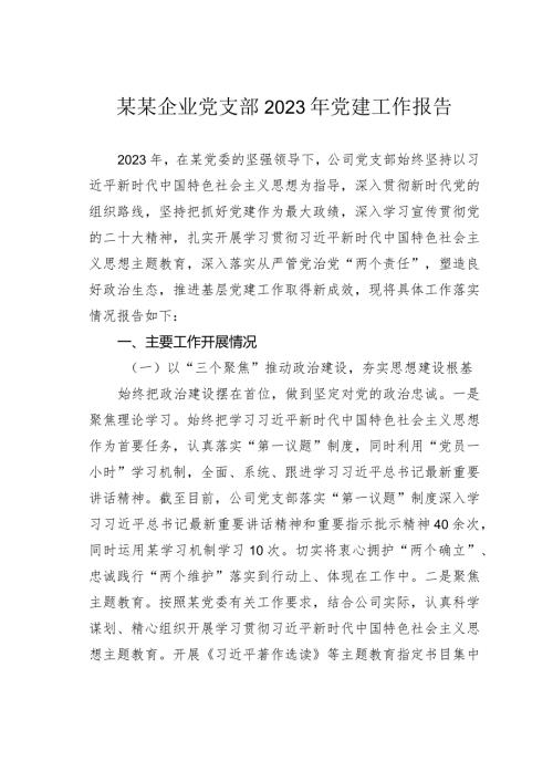 某某企业党支部2023年党建工作报告(1).docx