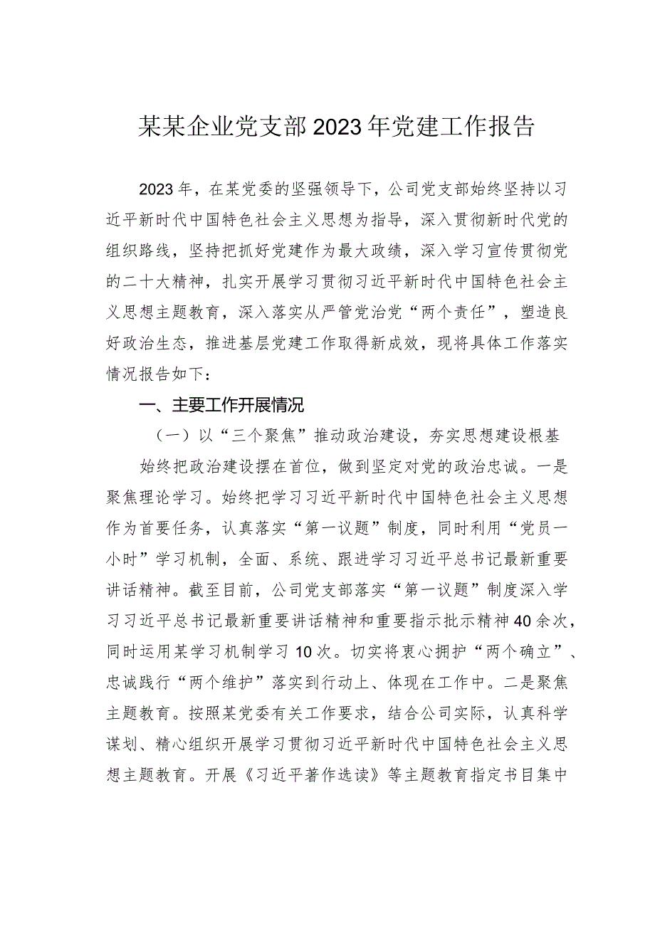 某某企业党支部2023年党建工作报告(1).docx_第1页