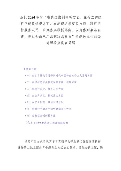 县长2024“在典型案例剖析方面、在树立和践行正确政绩观方面、在巡视巡察整改方面、践行宗旨服务人民、求真务实狠抓落实、以身作则廉.docx