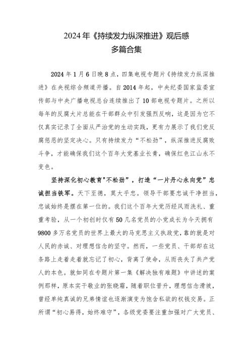 观看《持续发力 纵深推进》第一集、第二集心得合集资料.docx