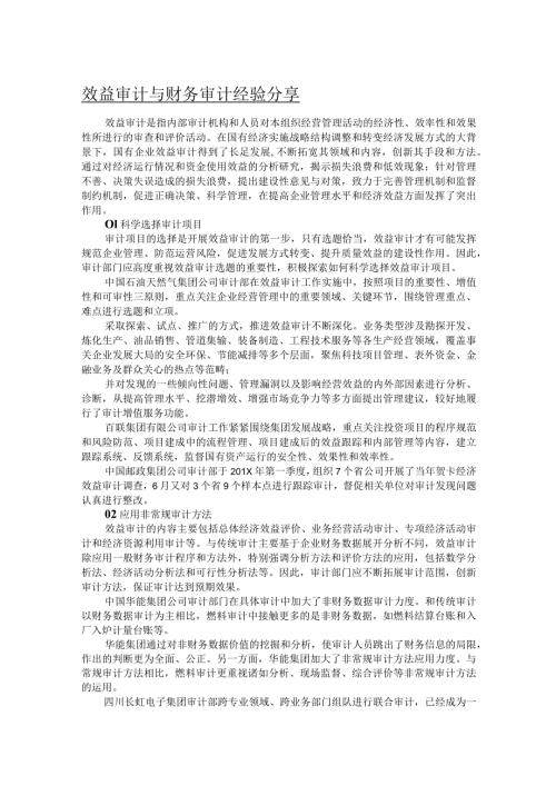 效益审计与财务审计经验分享.docx