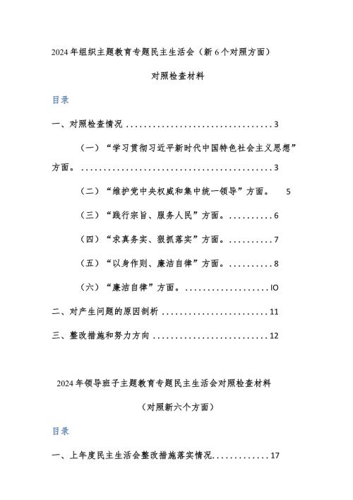 两篇：2024年组织、班子主题教育专题民主生活会（新6个对照方面）对照检查材料范文.docx