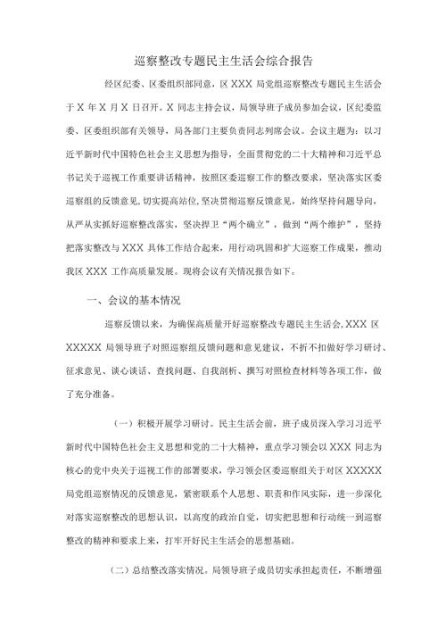 巡察整改专题民主生活会综合报告.docx