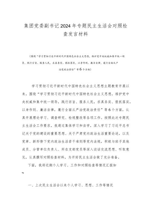 集团党委副书记2024年专题民主生活会对照检查发言材料.docx