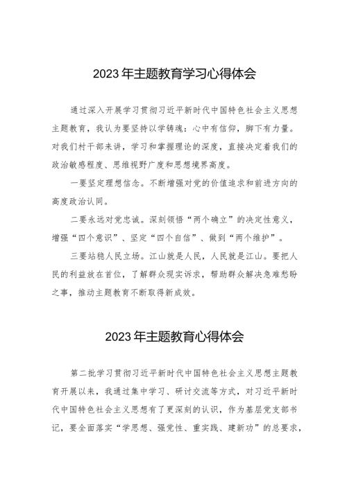 村干部学习贯彻2023年主题教育学习心得体会八篇.docx