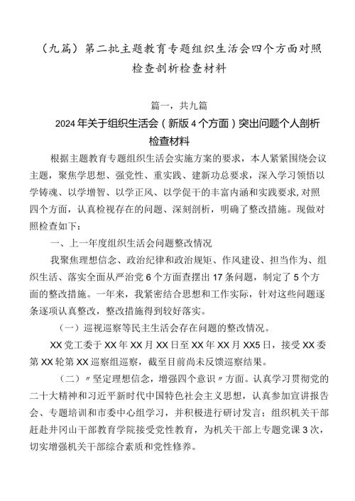 （九篇）第二批集中教育专题组织生活会四个方面对照检查剖析检查材料.docx