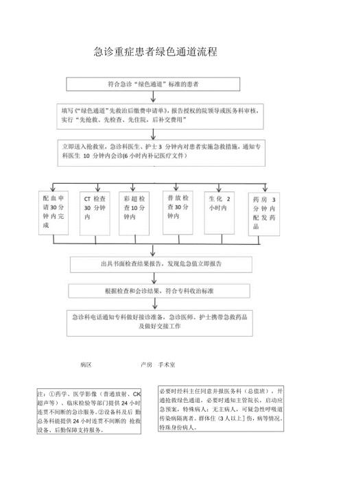 急诊重症患者绿色通道流程.docx