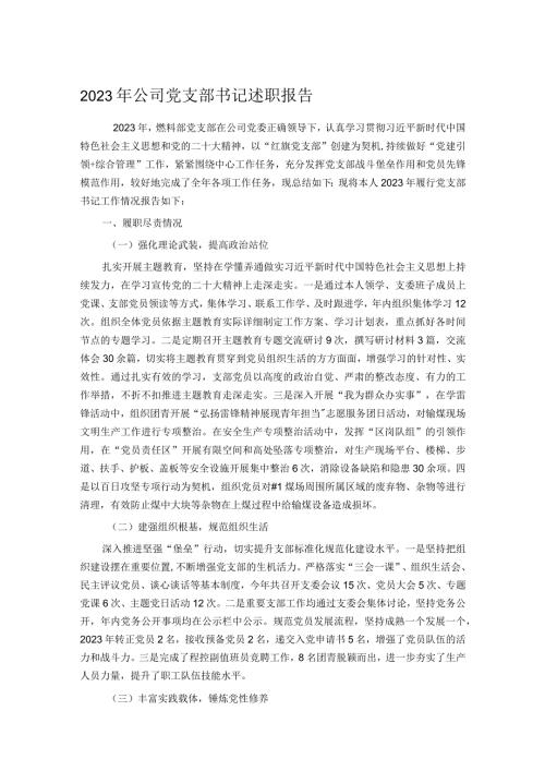 2023年公司党支部书记述职报告.docx