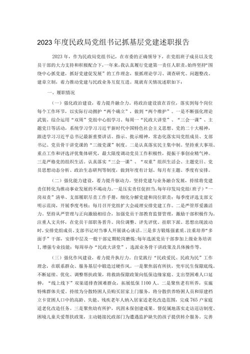 2023民政局党组书记抓基层党建述职报告.docx